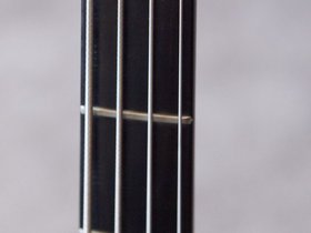 Steinberger169-14.jpg